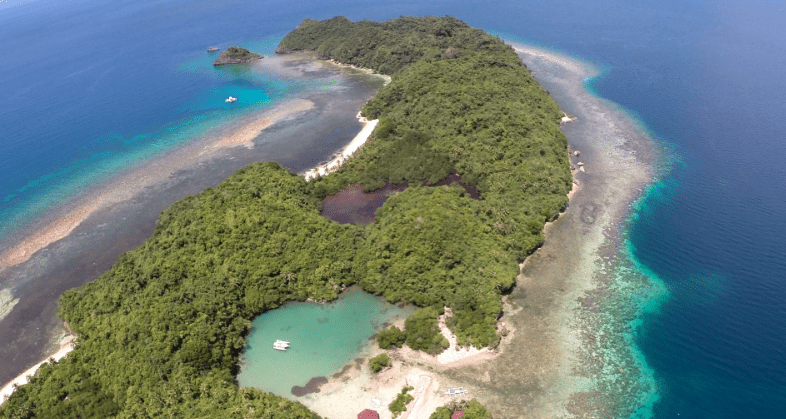Half-Day Snorkeling Trip In Sipalay Review